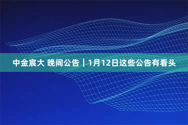 中金宸大 晚间公告｜1月12日这些公告有看头