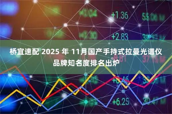 桥宜速配 2025 年 11月国产手持式拉曼光谱仪品牌知名度排名出炉