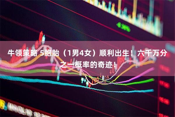 牛领策略 5胞胎（1男4女）顺利出生！六千万分之一概率的奇迹！