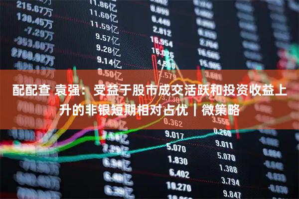 配配查 袁强：受益于股市成交活跃和投资收益上升的非银短期相对占优｜微策略
