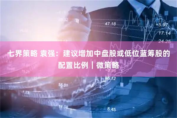 七界策略 袁强：建议增加中盘股或低位蓝筹股的配置比例｜微策略